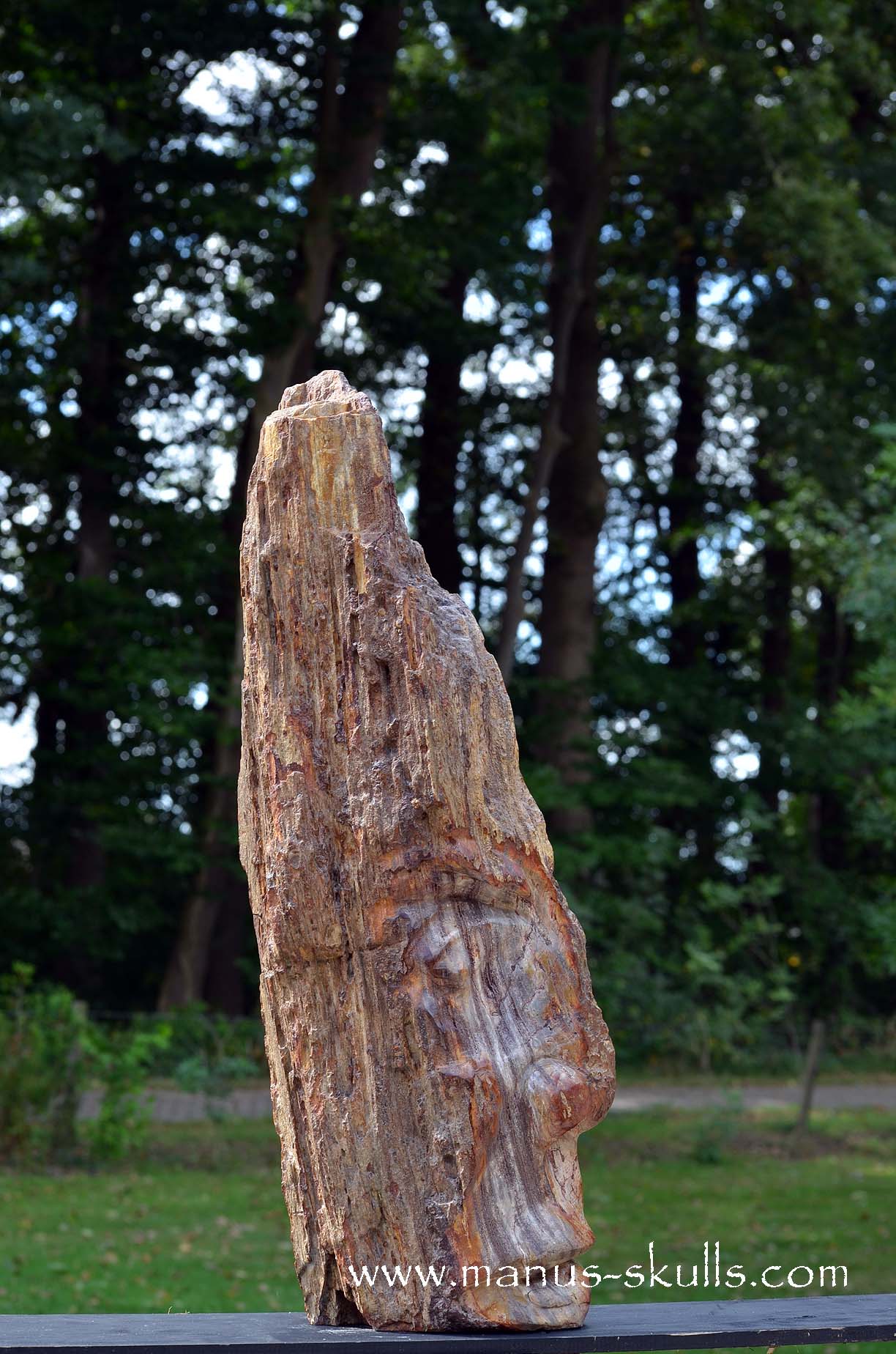 Petrified Wood Tribal Skull #67
