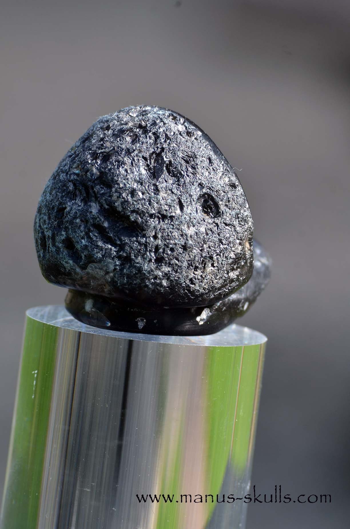 Agni Manitite Evolian #08