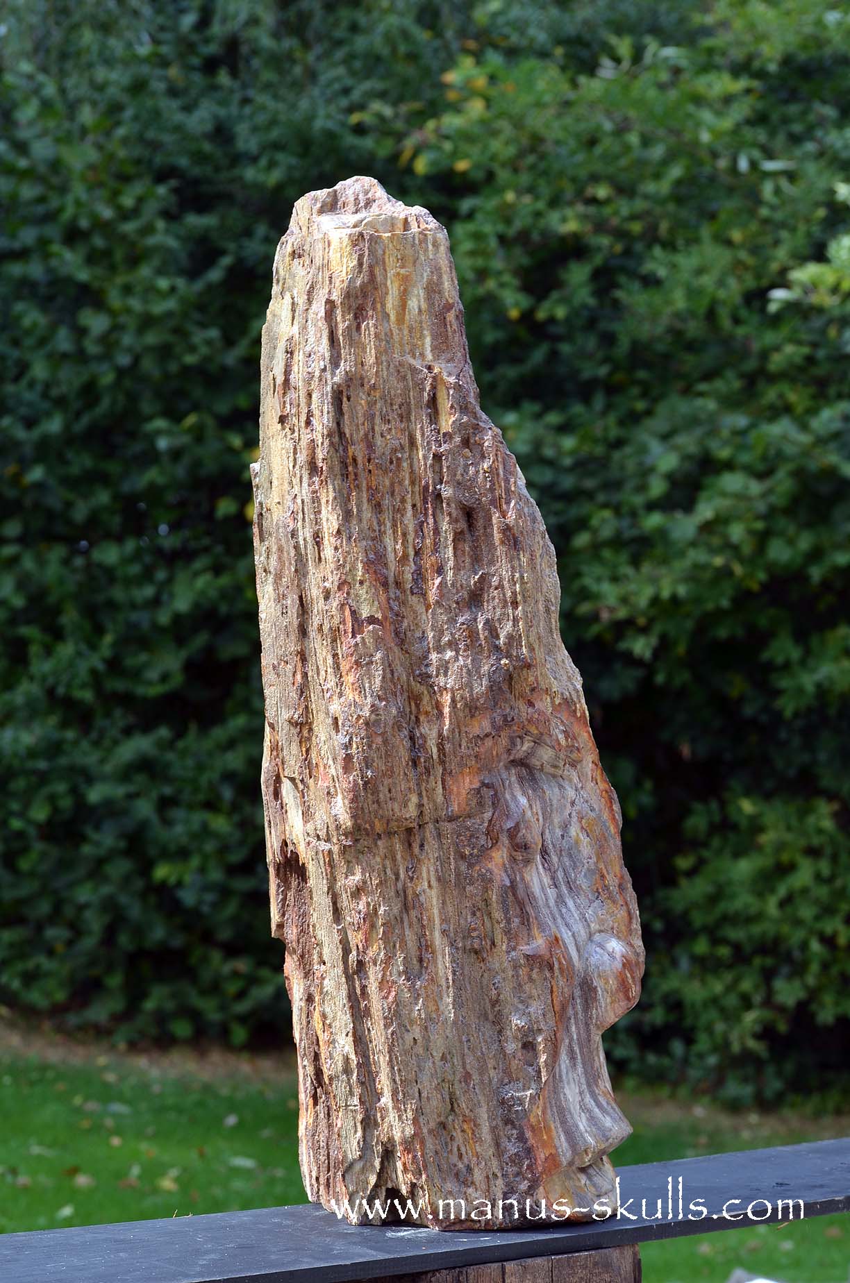 Petrified Wood Tribal Skull #67