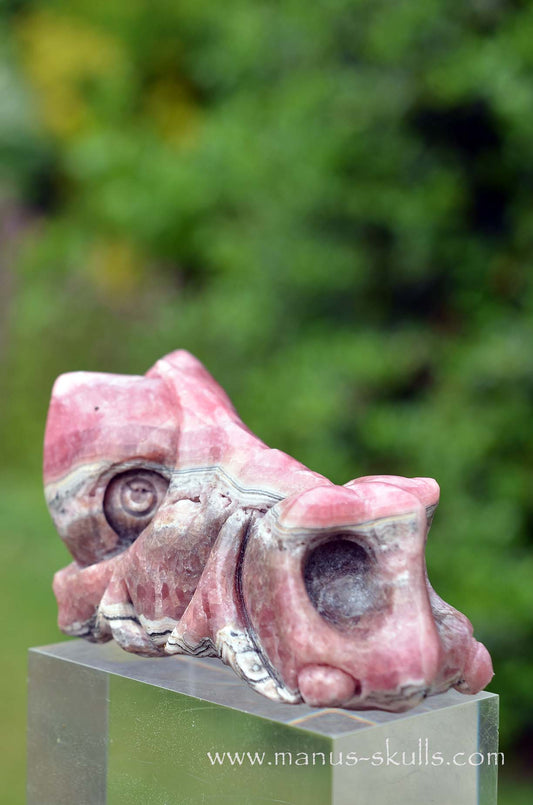 Manus skulls unique Crystal Carvings handmade skulls dragons pendants preseli bluestone tribals spiritual meaning wand Unicorn .. rhodochrosite