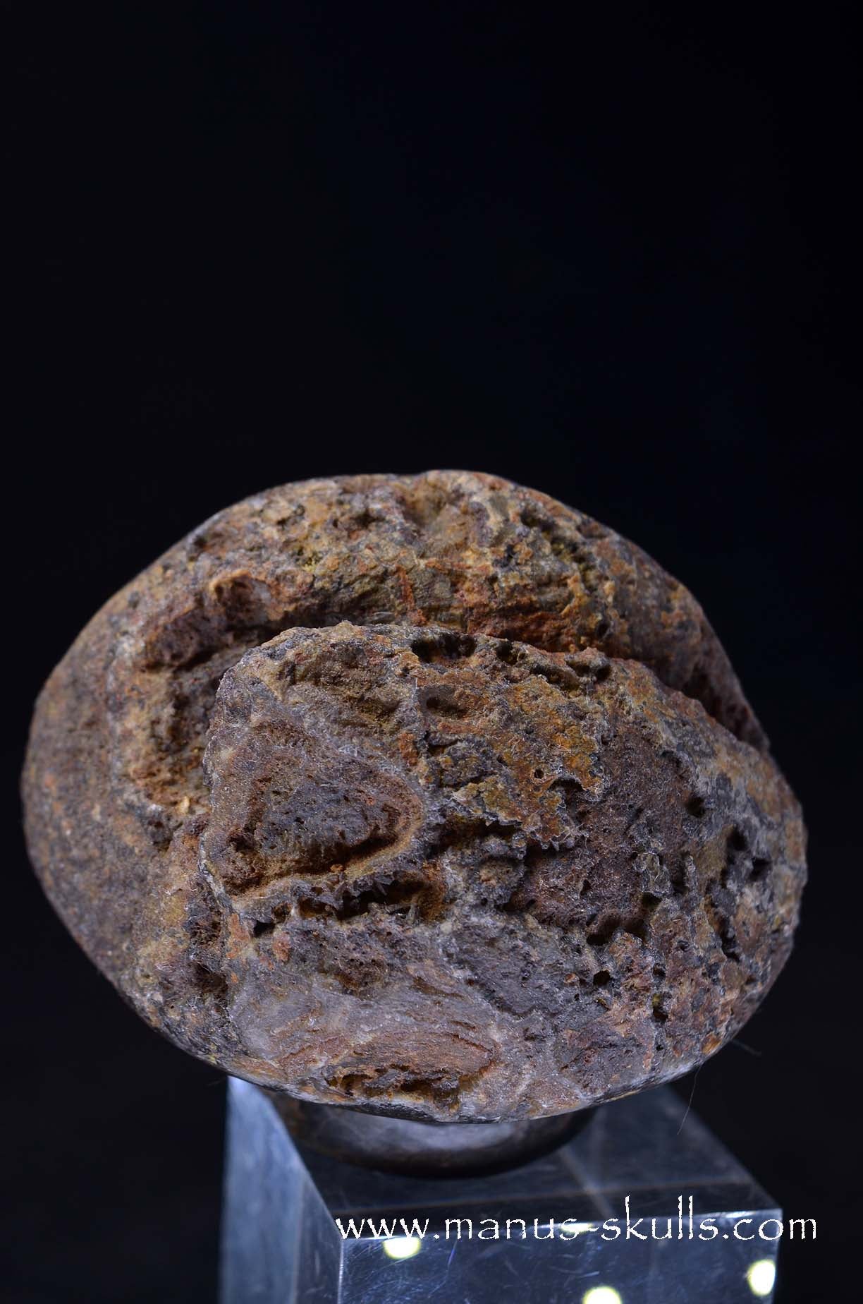 Agate Geode Evolian #09