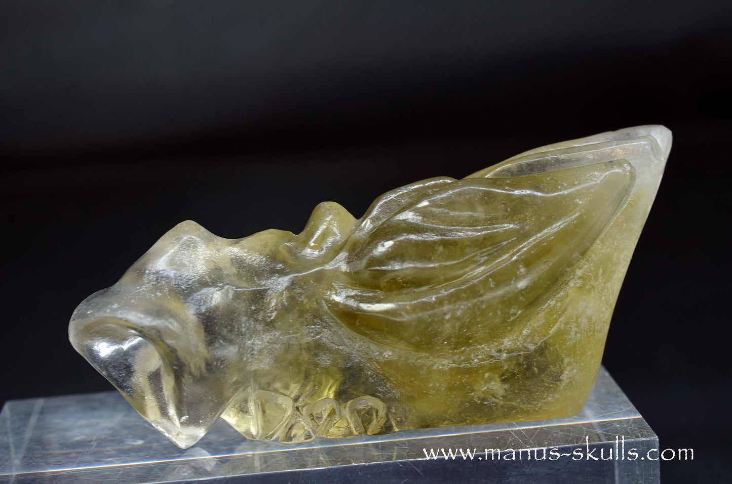 Citrine Dragon