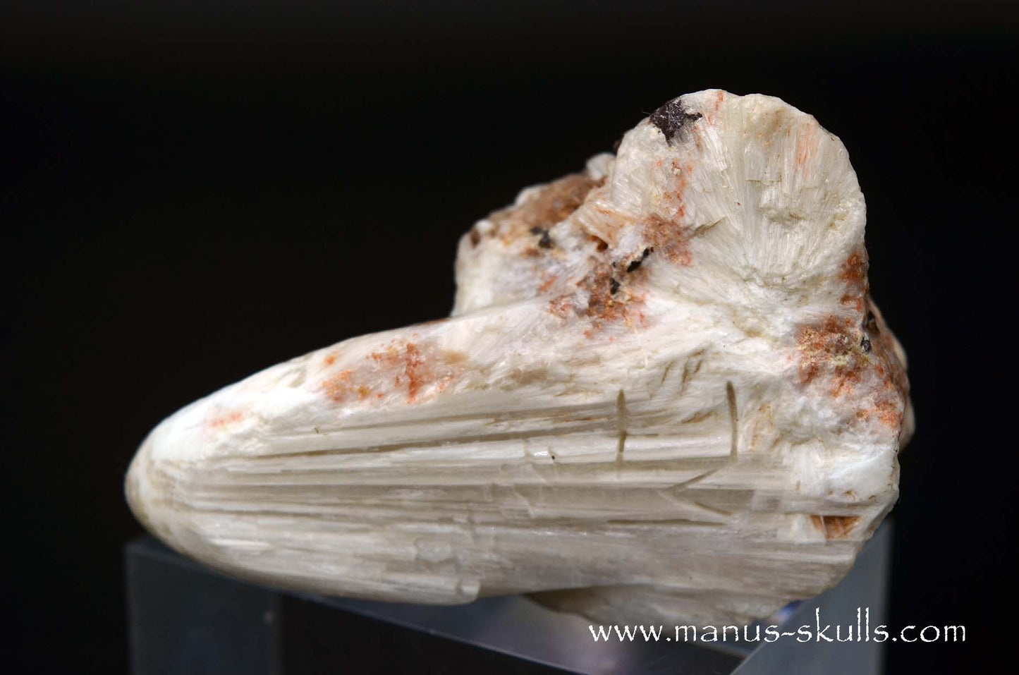 Scolecite Evolian Skull #07