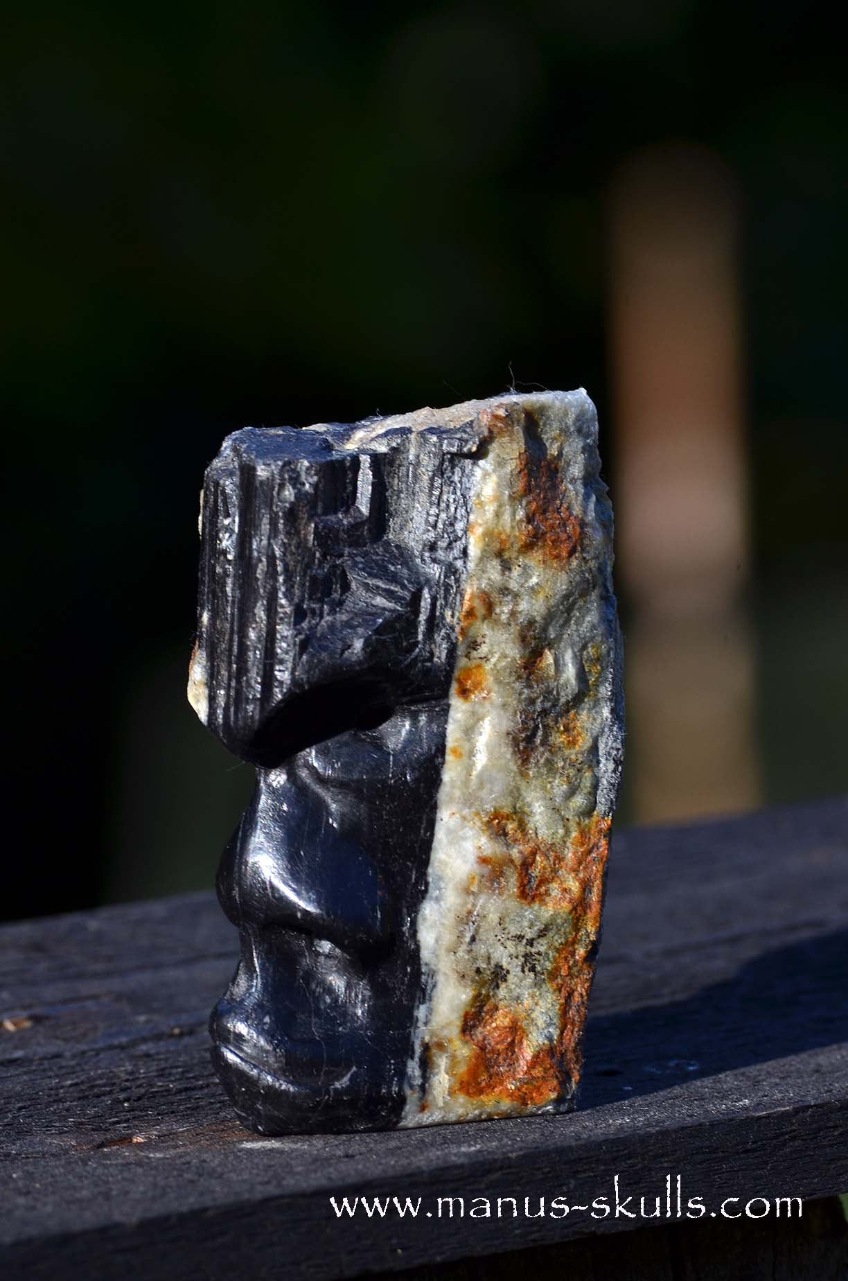 Hairless Black Tourmaline Tribal Skull
