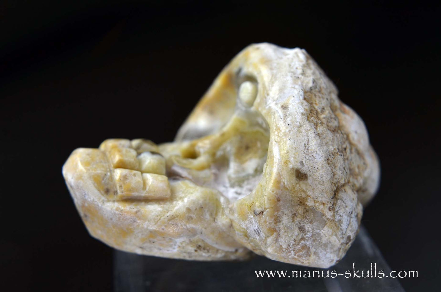 TNT-bed Thunderegg Evolian #07