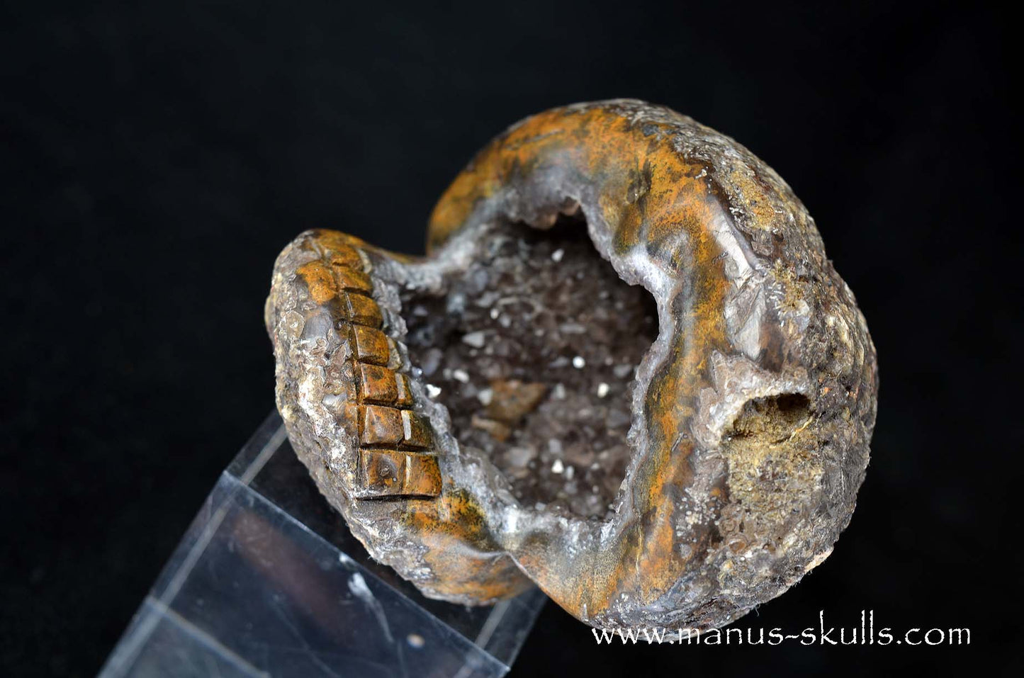 Agate Geode Evolian #01