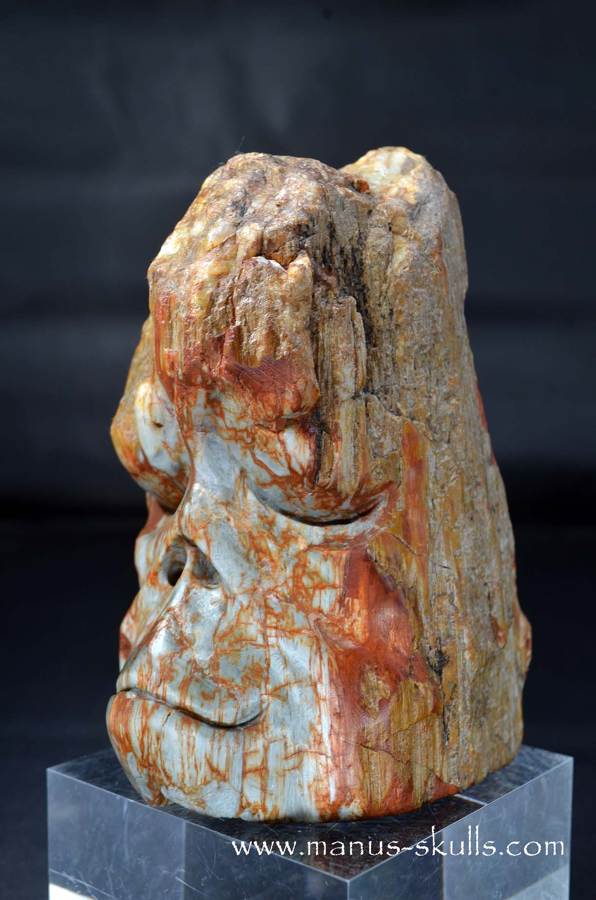 Eagle Eye Quartz Character Skull face