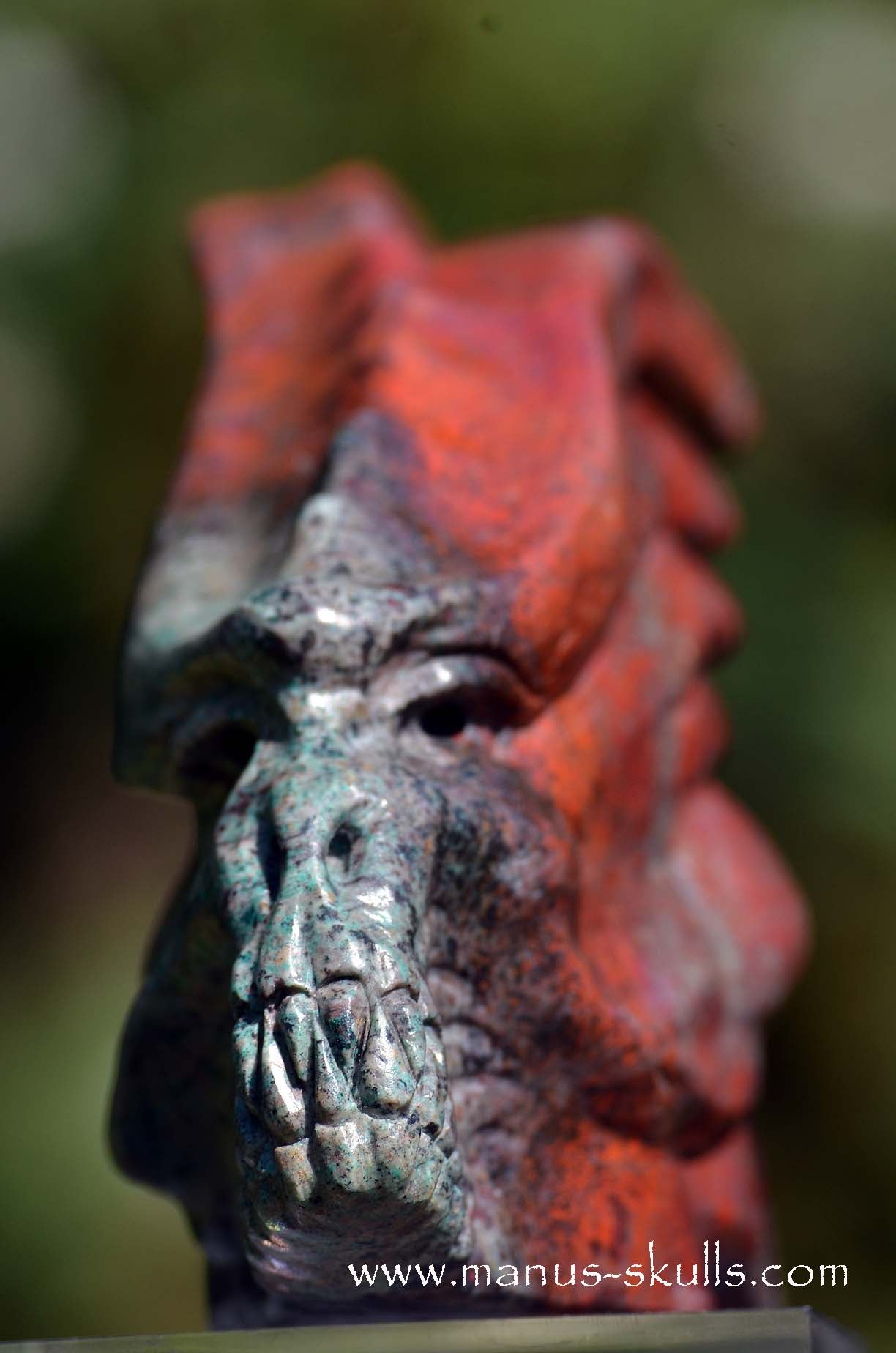 Special! .... Large SONORA SUNRISE Dragon ....