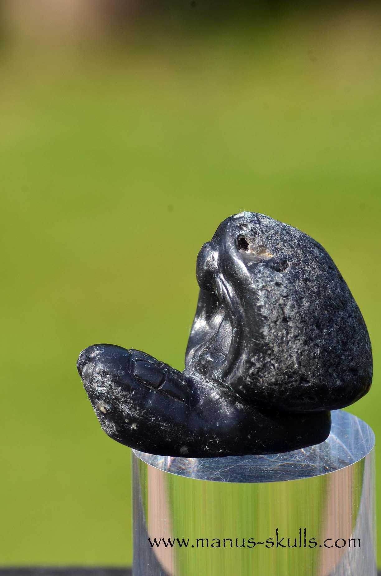 Agni Manitite Evolian Manus Skull