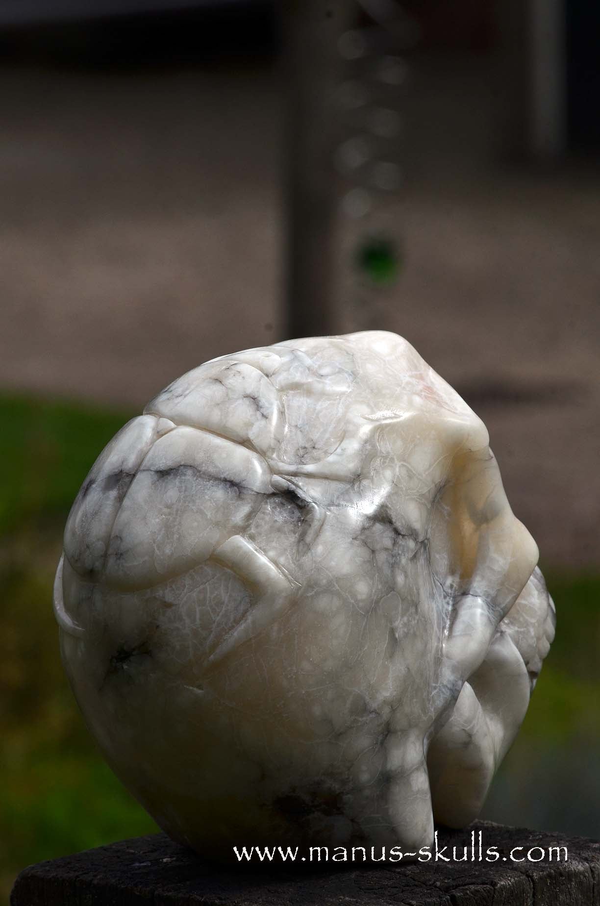 Alabaster Skull with carved Scarab Beetle ....