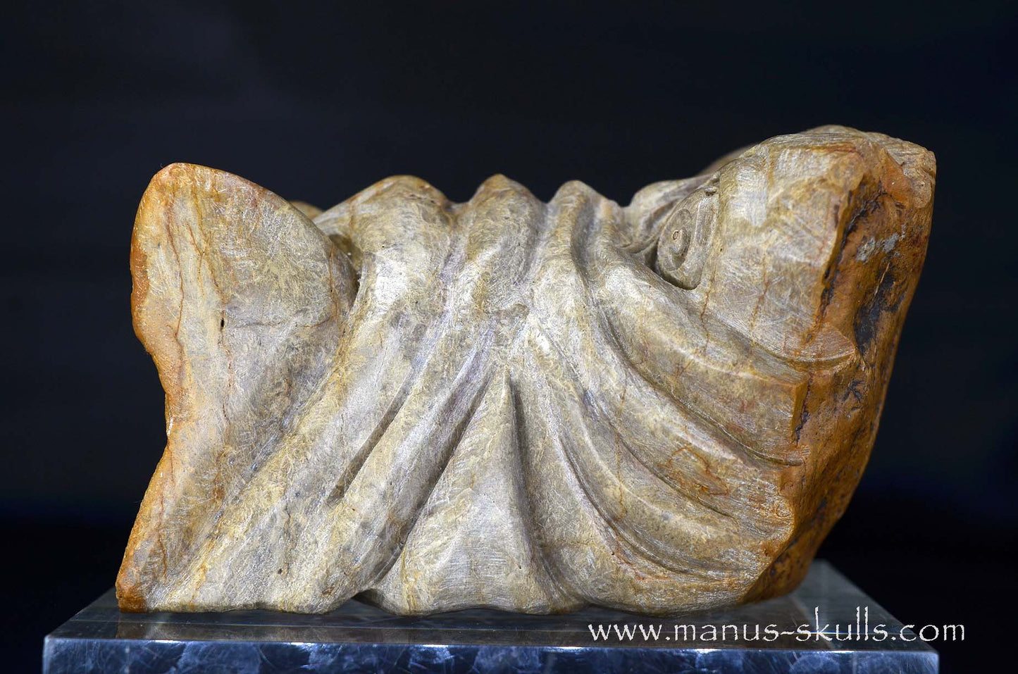 Sarsens Stone Dragon (Stonehenge Stone)