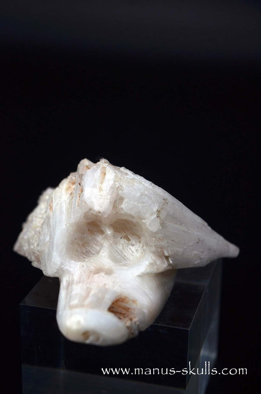 Scolecite Evolian Skull #01