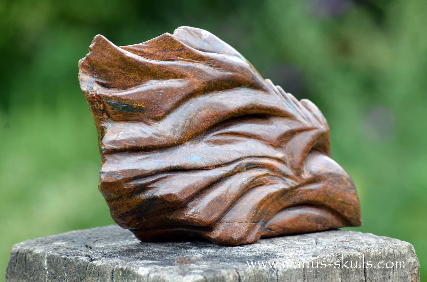 Bronzite Dragon