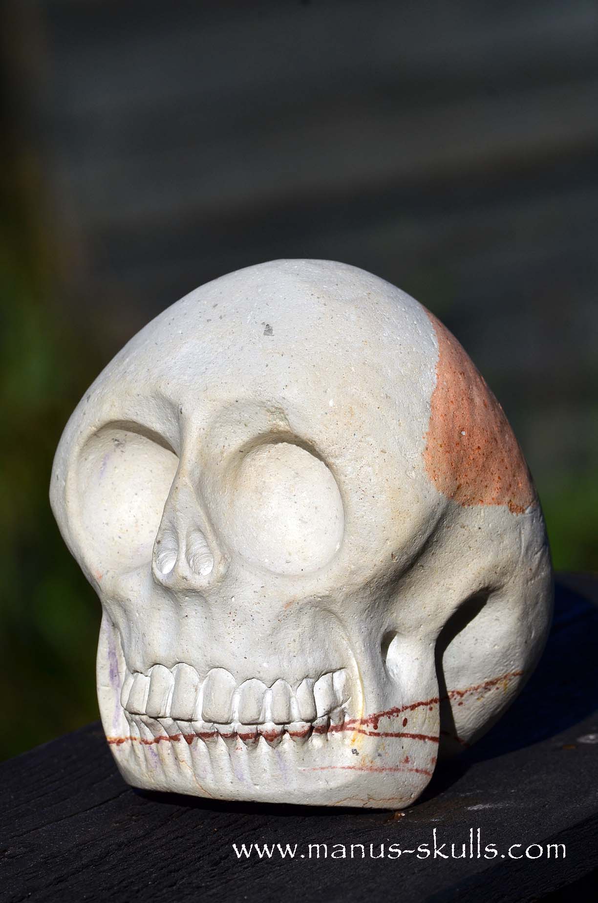 Arizona Sandstone skull