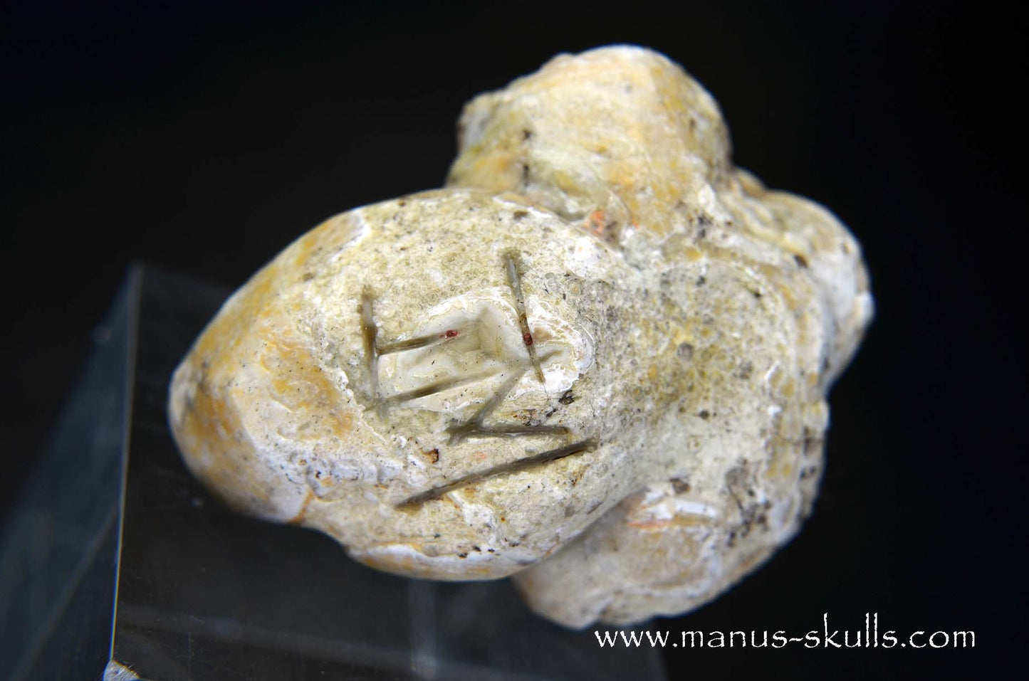 TNT-bed Thunderegg Evolian #07