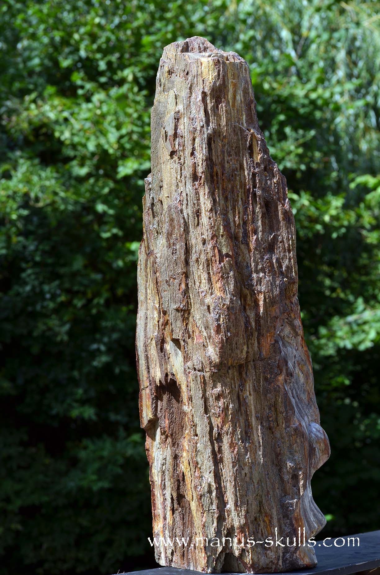 Petrified Wood Tribal Skull #67