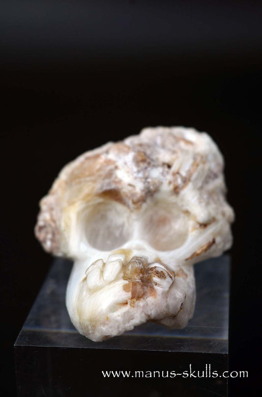 Manus skulls unique Crystal Carvings handmade skulls dragons pendants preseli bluestone tribals spiritual meaning wand Unicorn .. scolecite evolian 2025