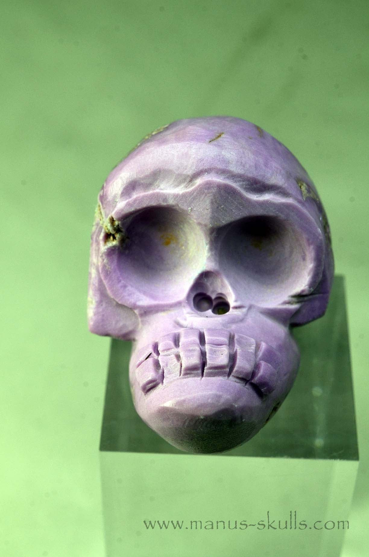 Phosphosiderite Evolian Skull #09