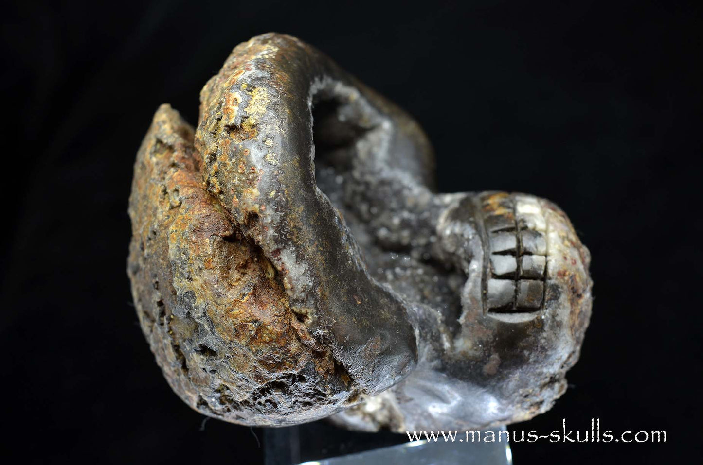 Agate Geode Evolian #09