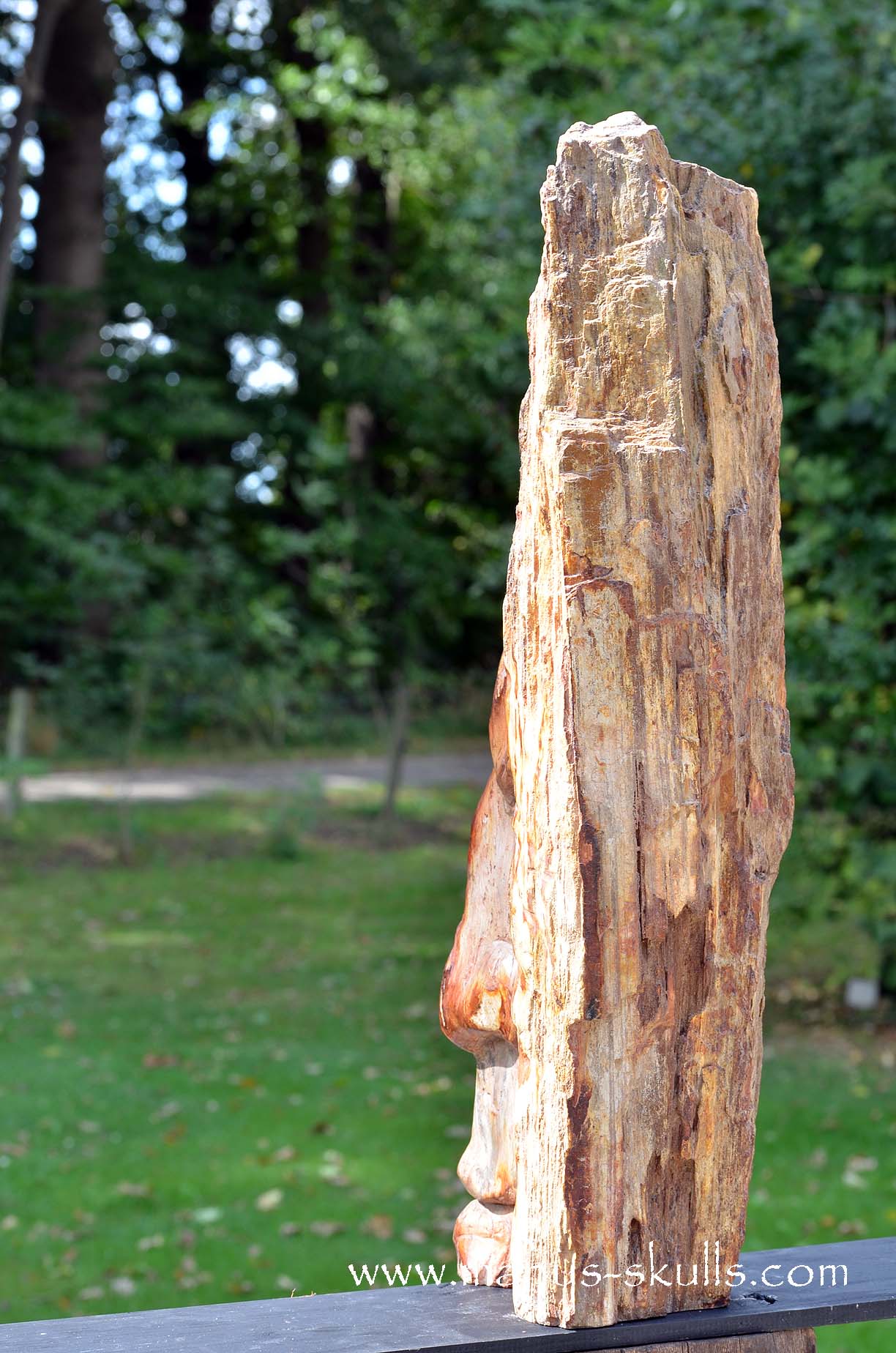 Petrified Wood Tribal Skull #67
