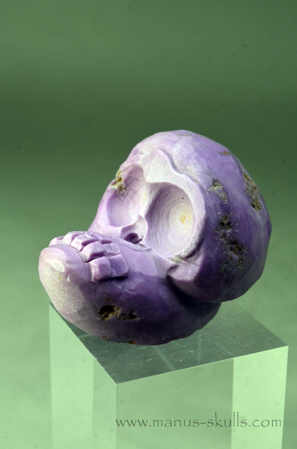 Phosphosiderite Evolian Skull #09