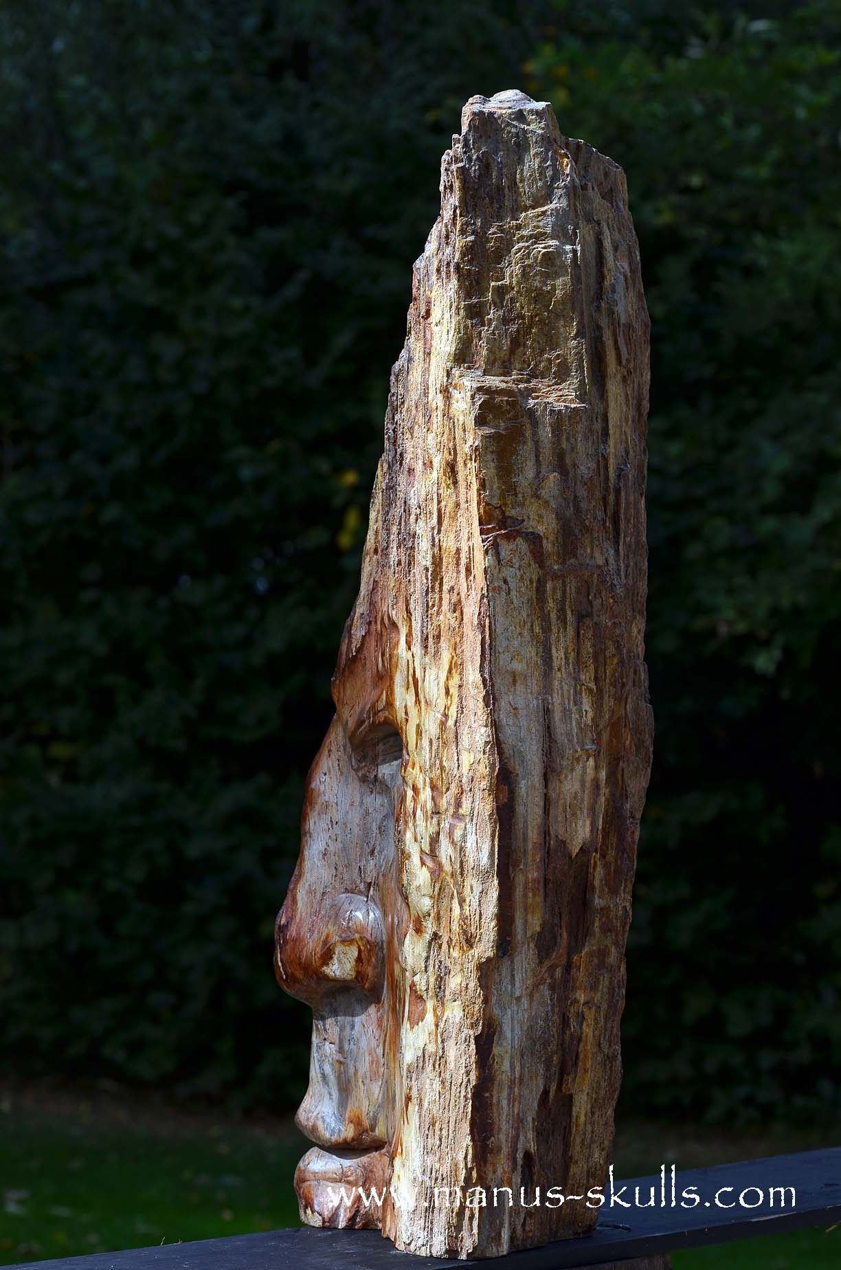 Petrified Wood Tribal Skull #67