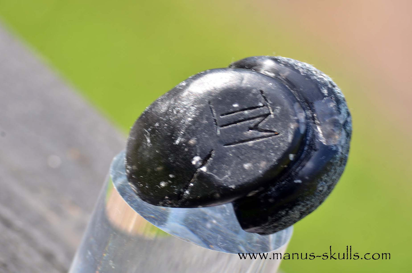 Agni Manitite Evolian #08