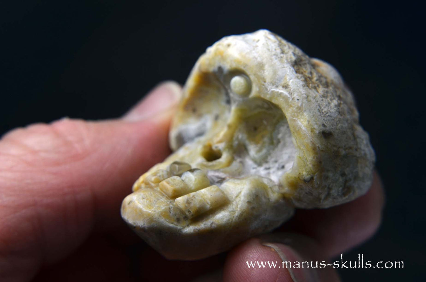 TNT-bed Thunderegg Evolian #07