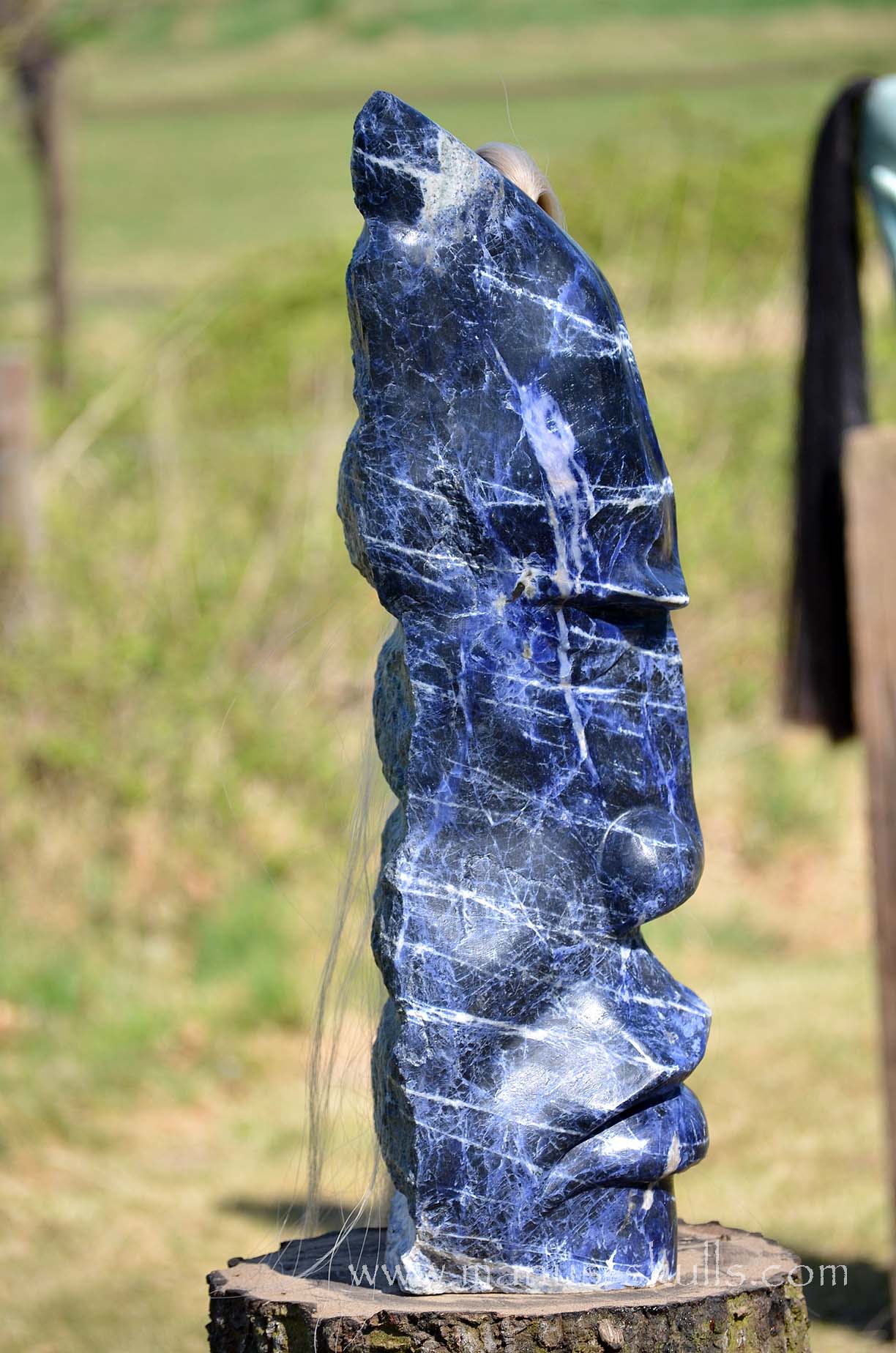 Sodalite Tribe Statue #001