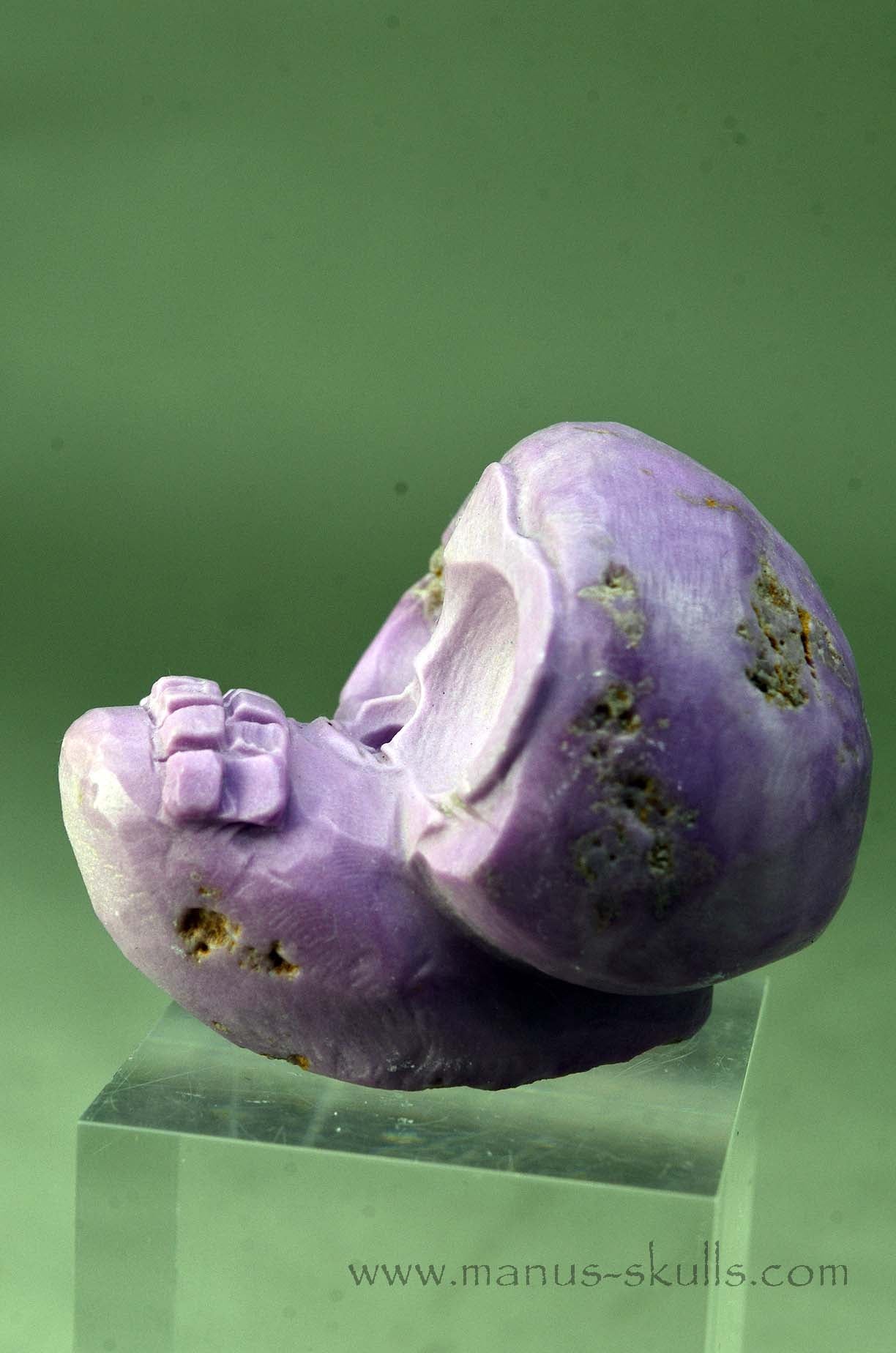Phosphosiderite Evolian Skull #09