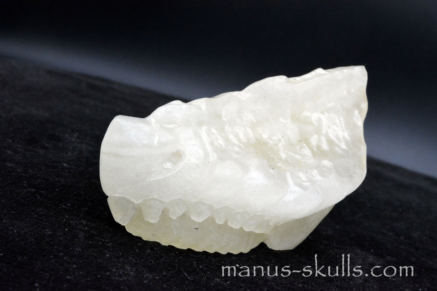 Libyan Desert Glass Dragon
