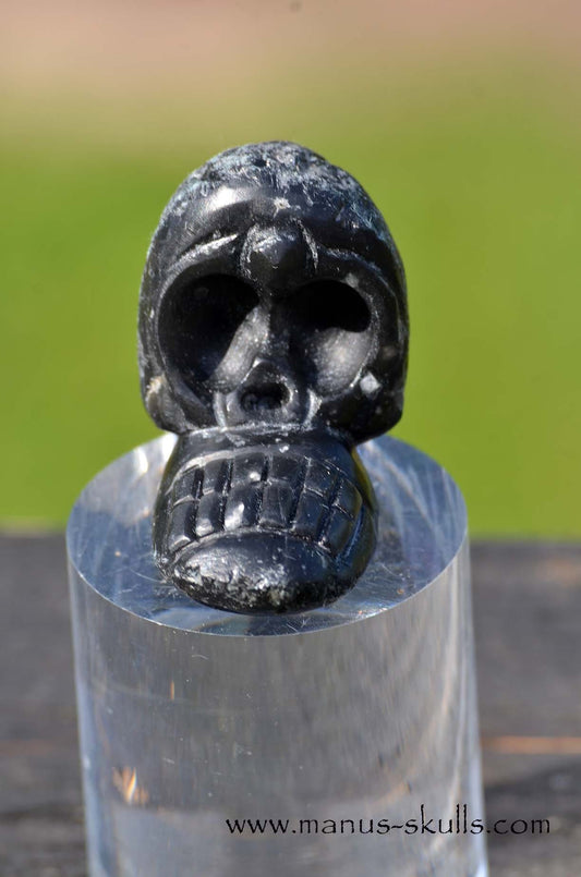 Agni Manitite Evolian Manus Skull