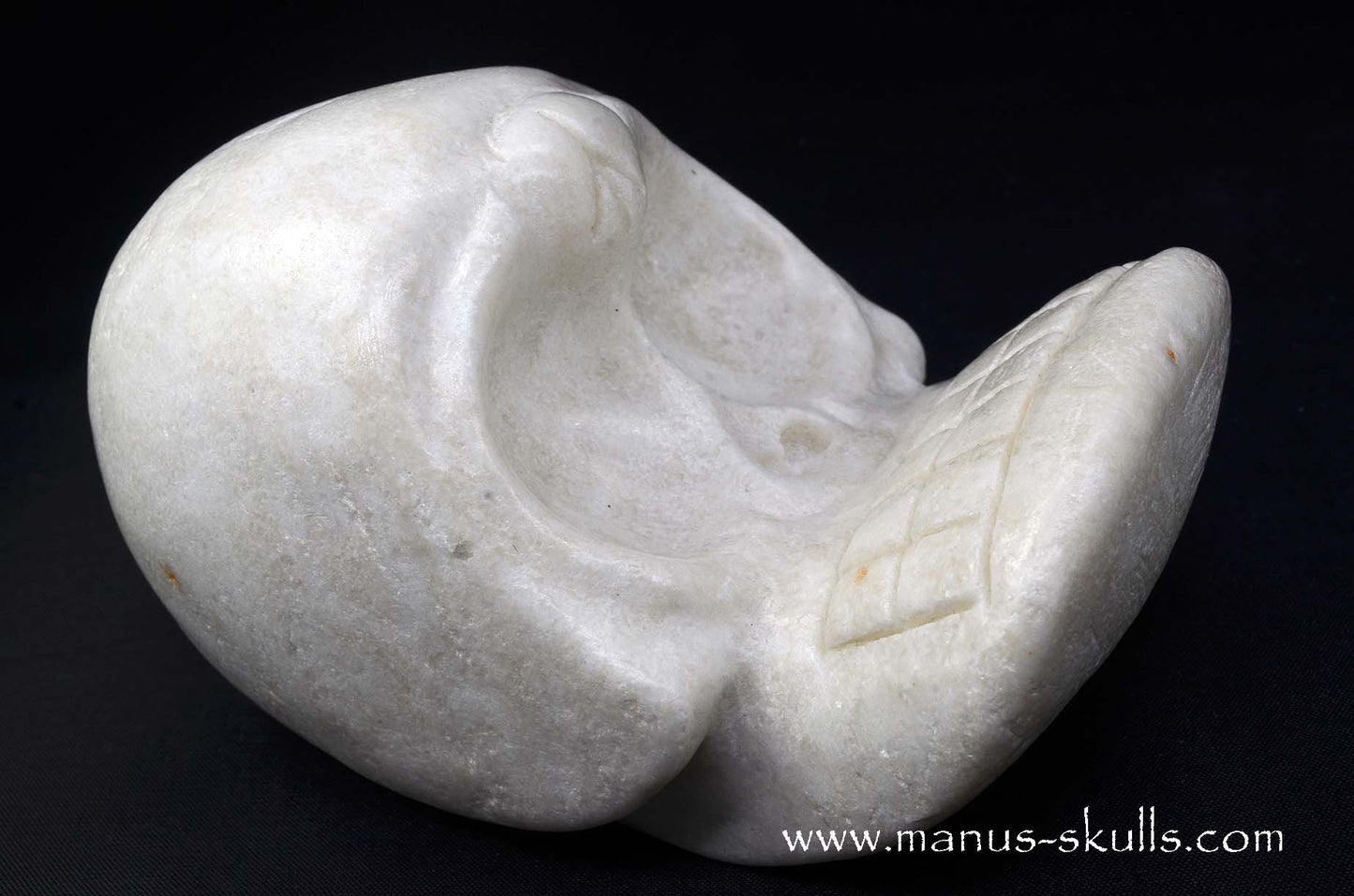White Steatite Evolian #01