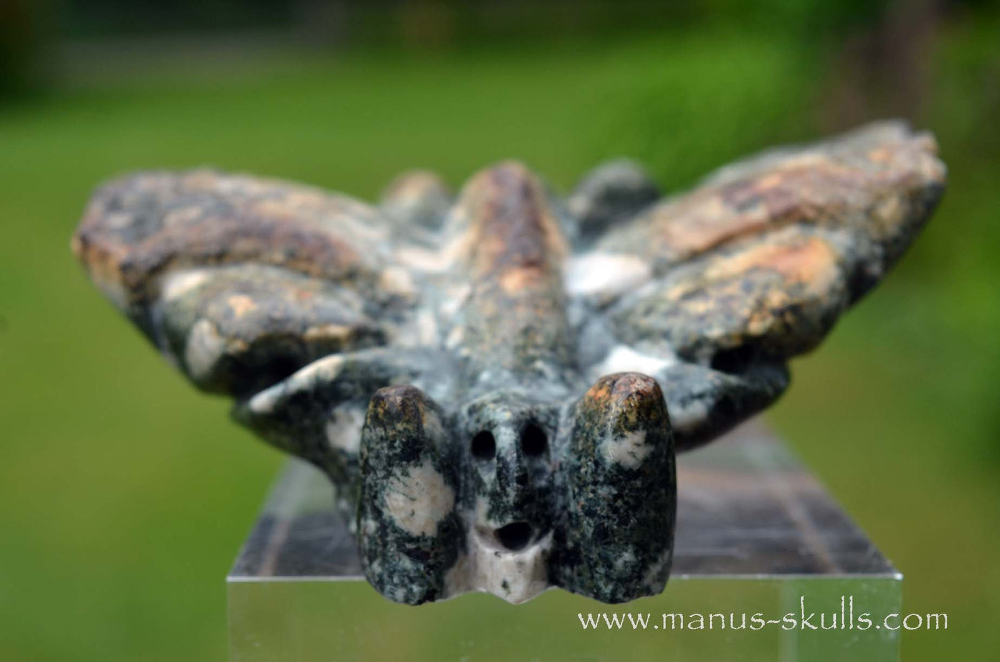 Preseli Bluestone Butterfly Dragon ....
