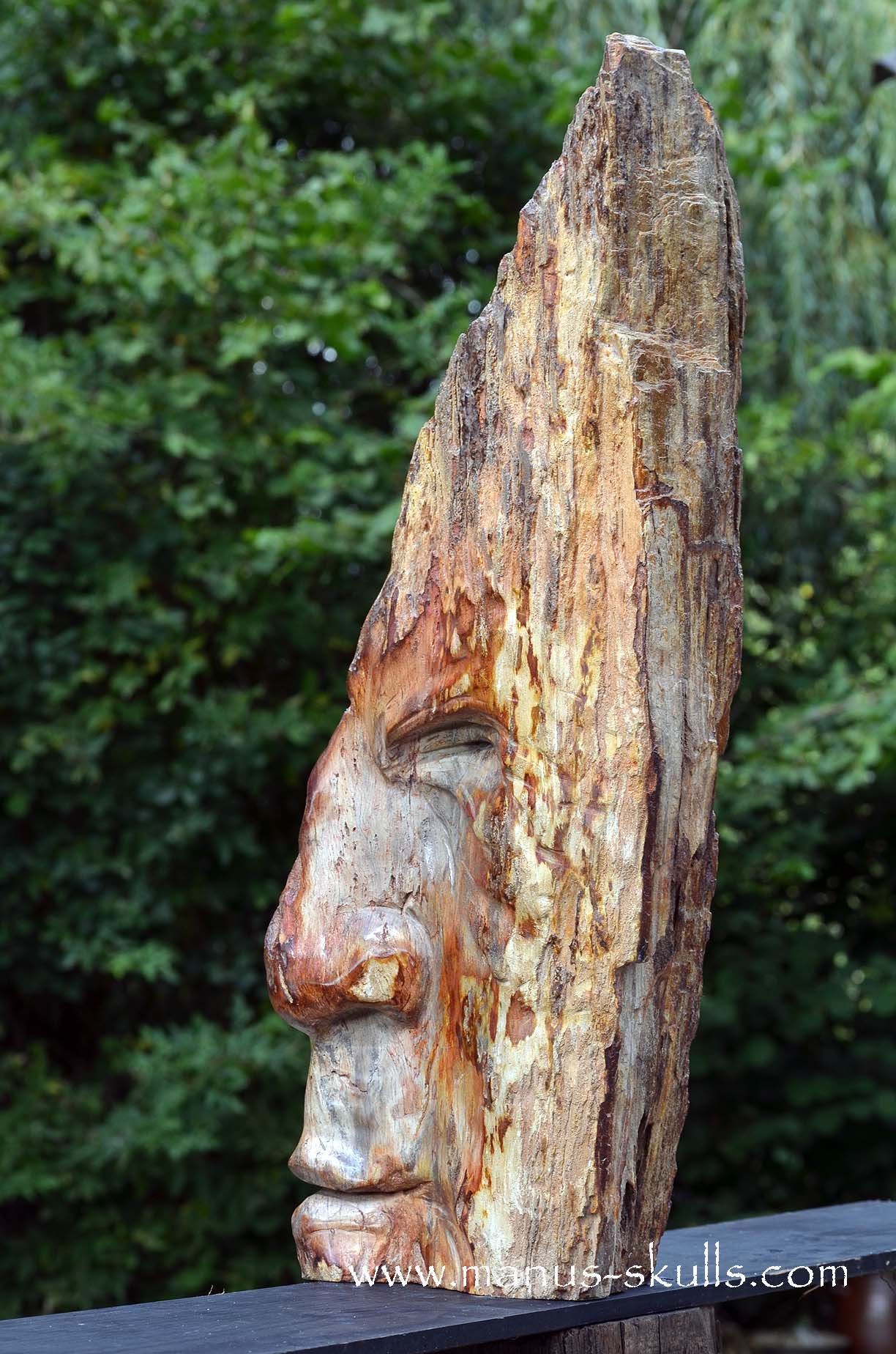Petrified Wood Tribal Skull #67