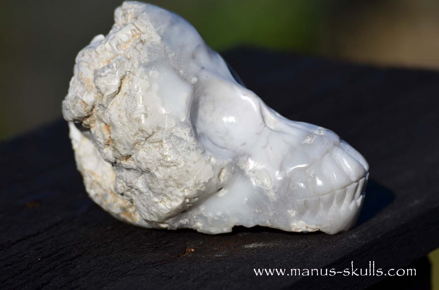 Cacholong Opal Skull