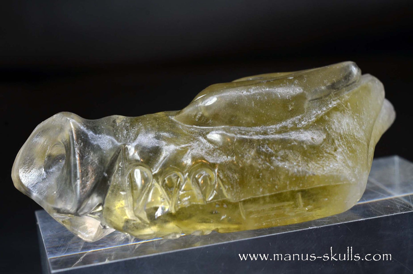 Citrine Dragon