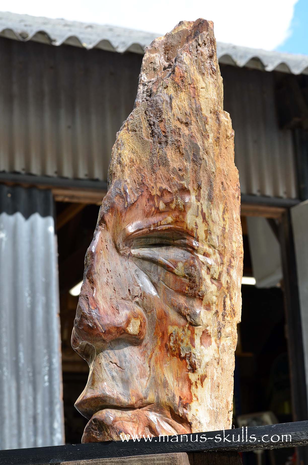 Petrified Wood Tribal Skull #67