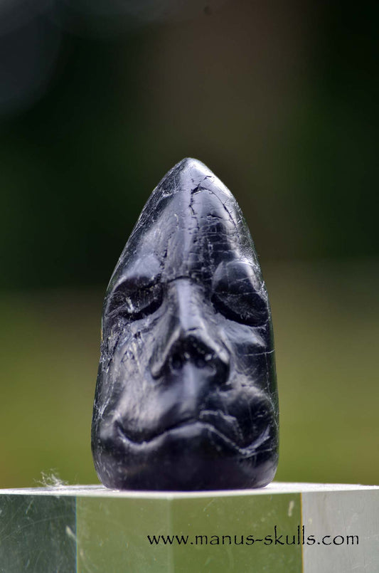 Manus skulls unique Crystal Carvings handmade skulls dragons pendants preseli bluestone tribals spiritual meaning wand Unicorn .. isua