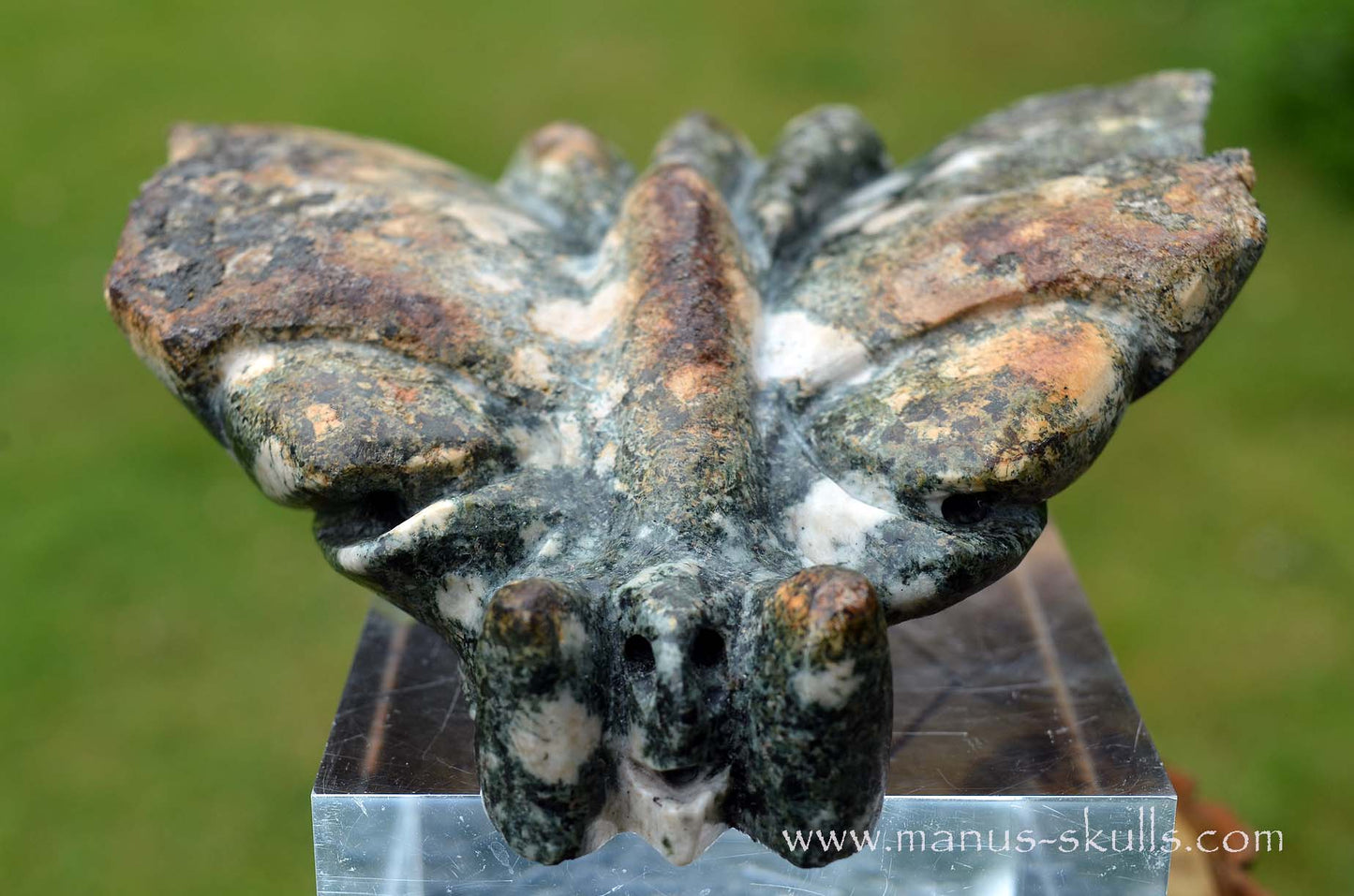 Preseli Bluestone Butterfly Dragon ....