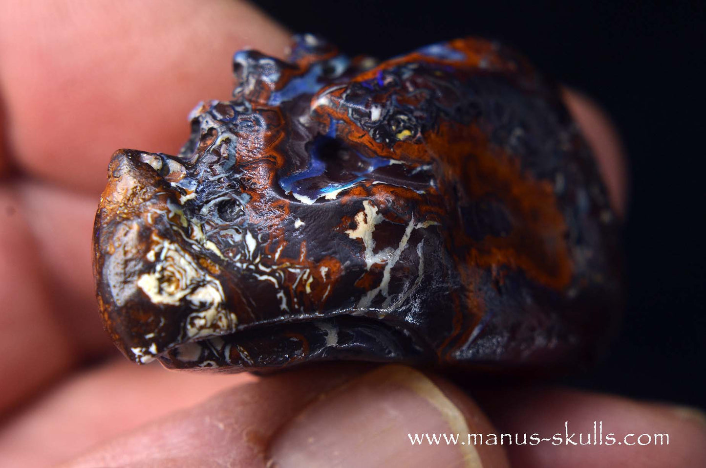 Yowah Nut Opal Dragon