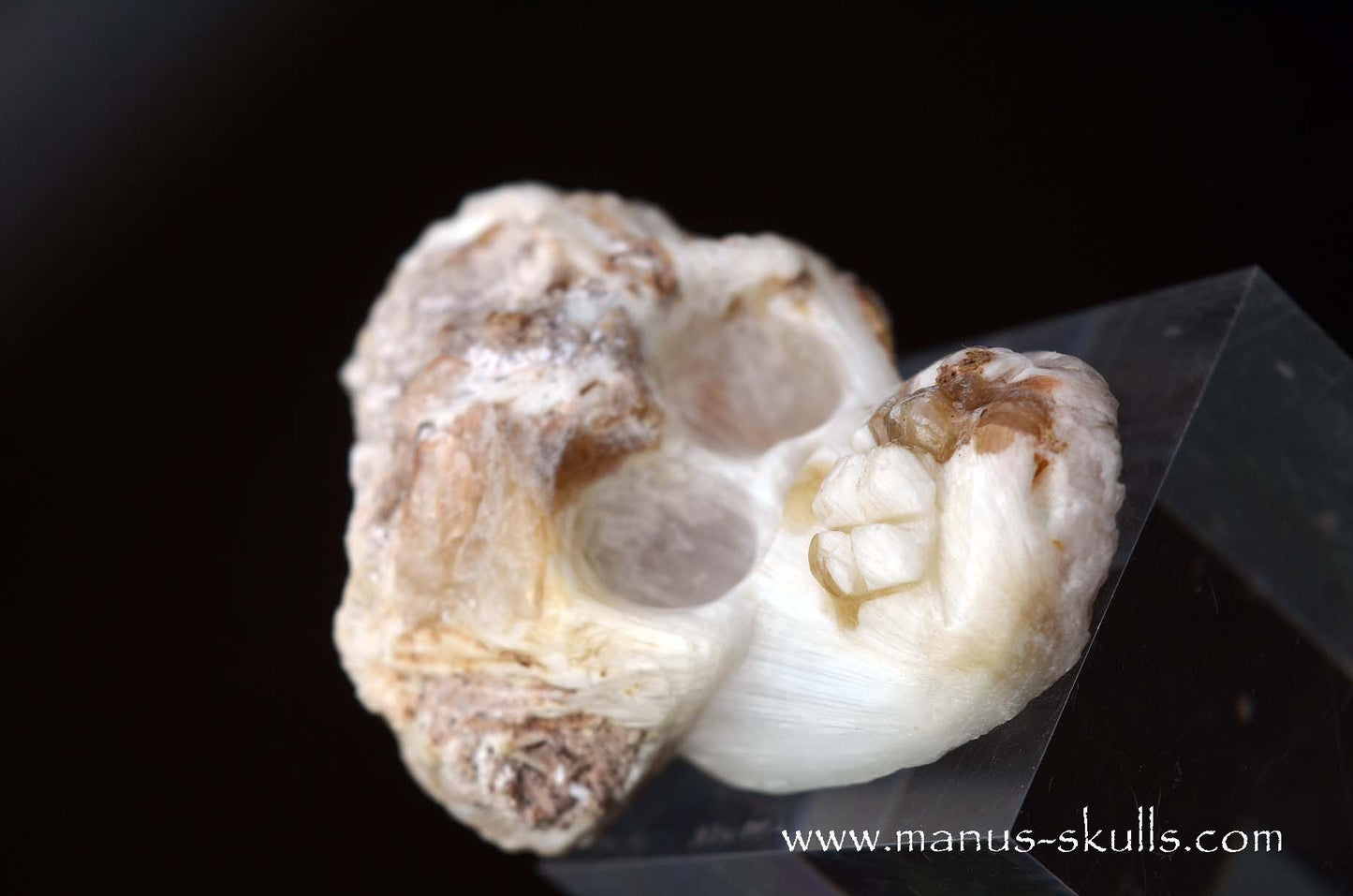Scolecite Evolian Skull #08