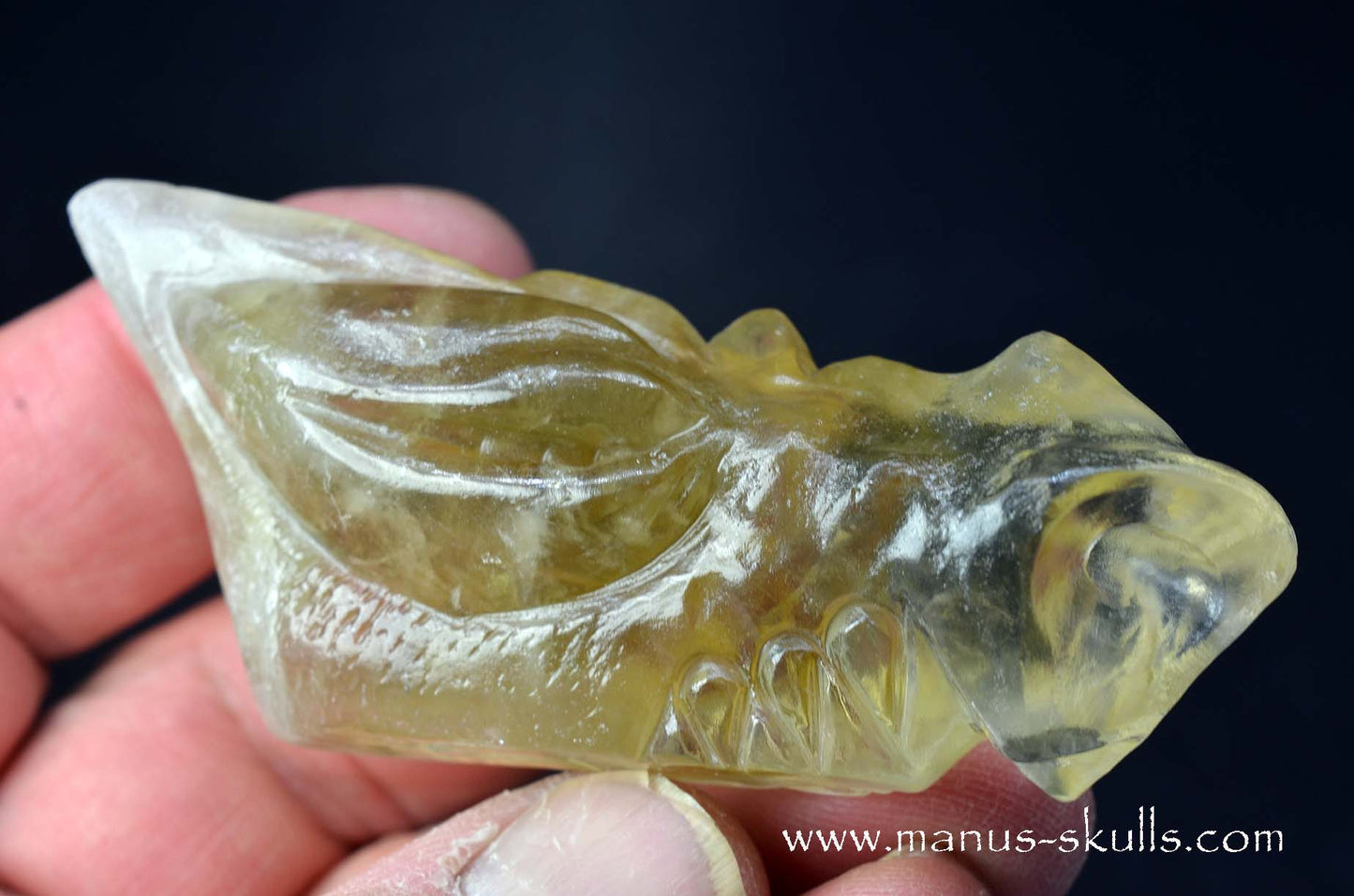 Citrine Dragon