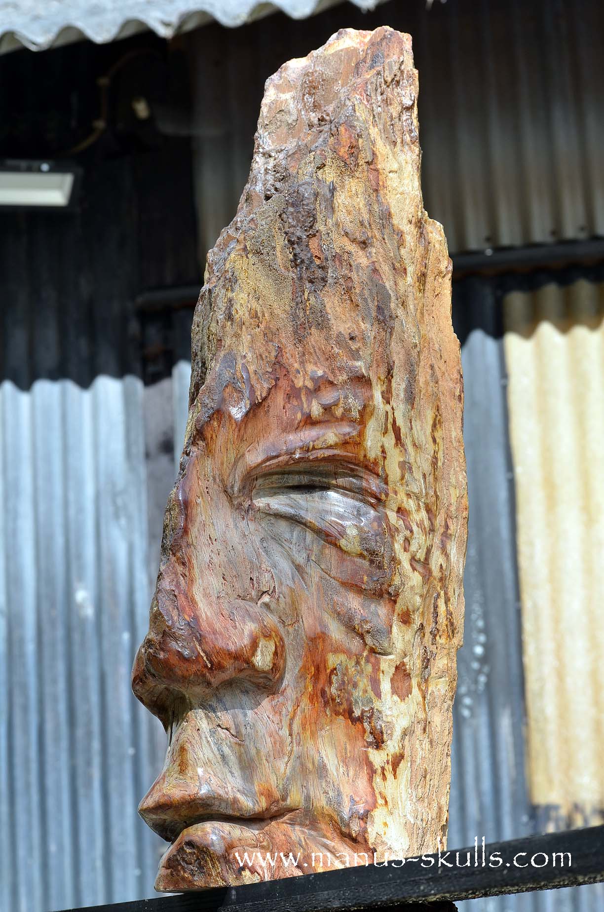 Petrified Wood Tribal Skull #67