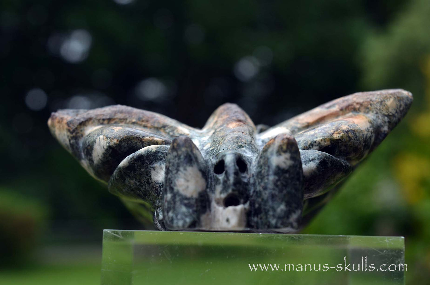 Preseli Bluestone Butterfly Dragon ....