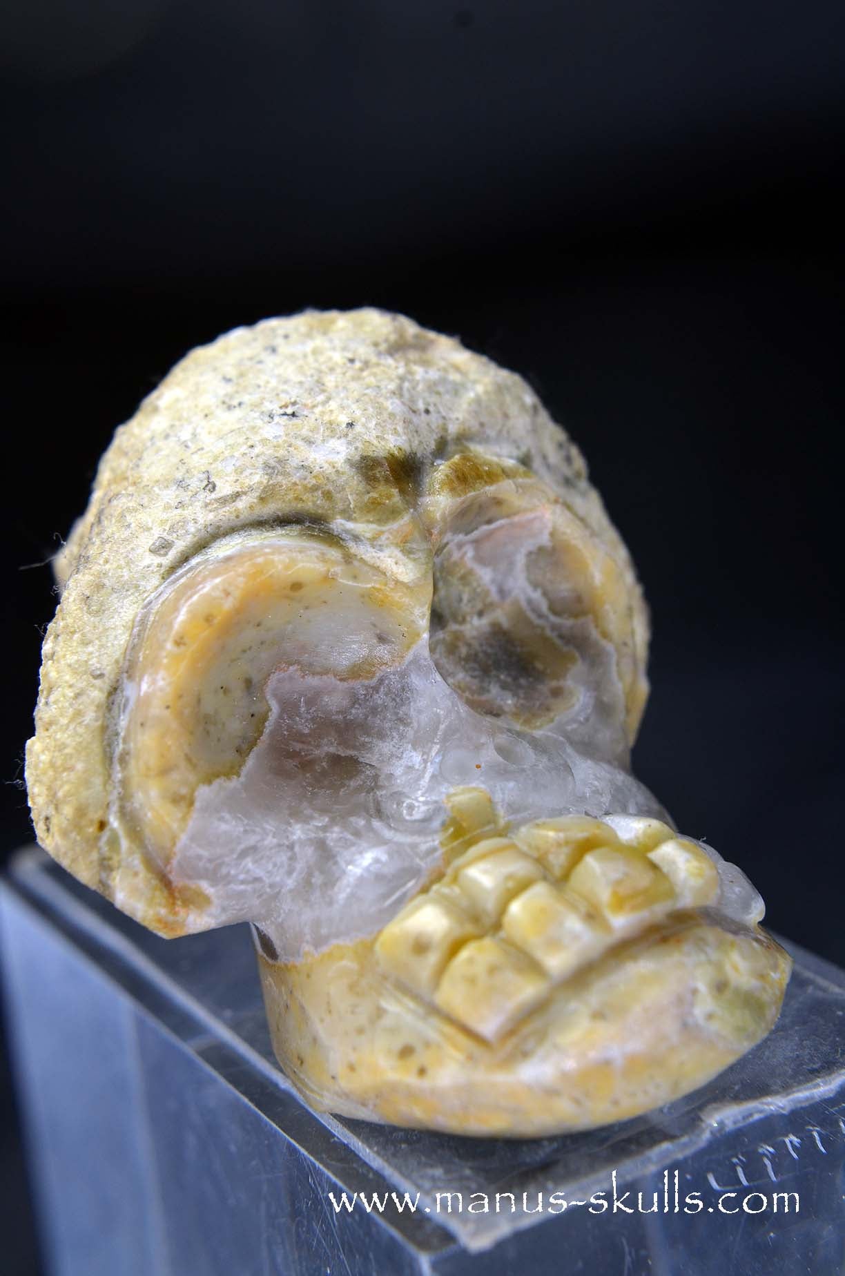 Manus skulls unique Crystal Carvings handmade skulls dragons pendants preseli bluestone tribals spiritual meaning wand Unicorn .. TNT bed   Lithophyse   Thunderegg