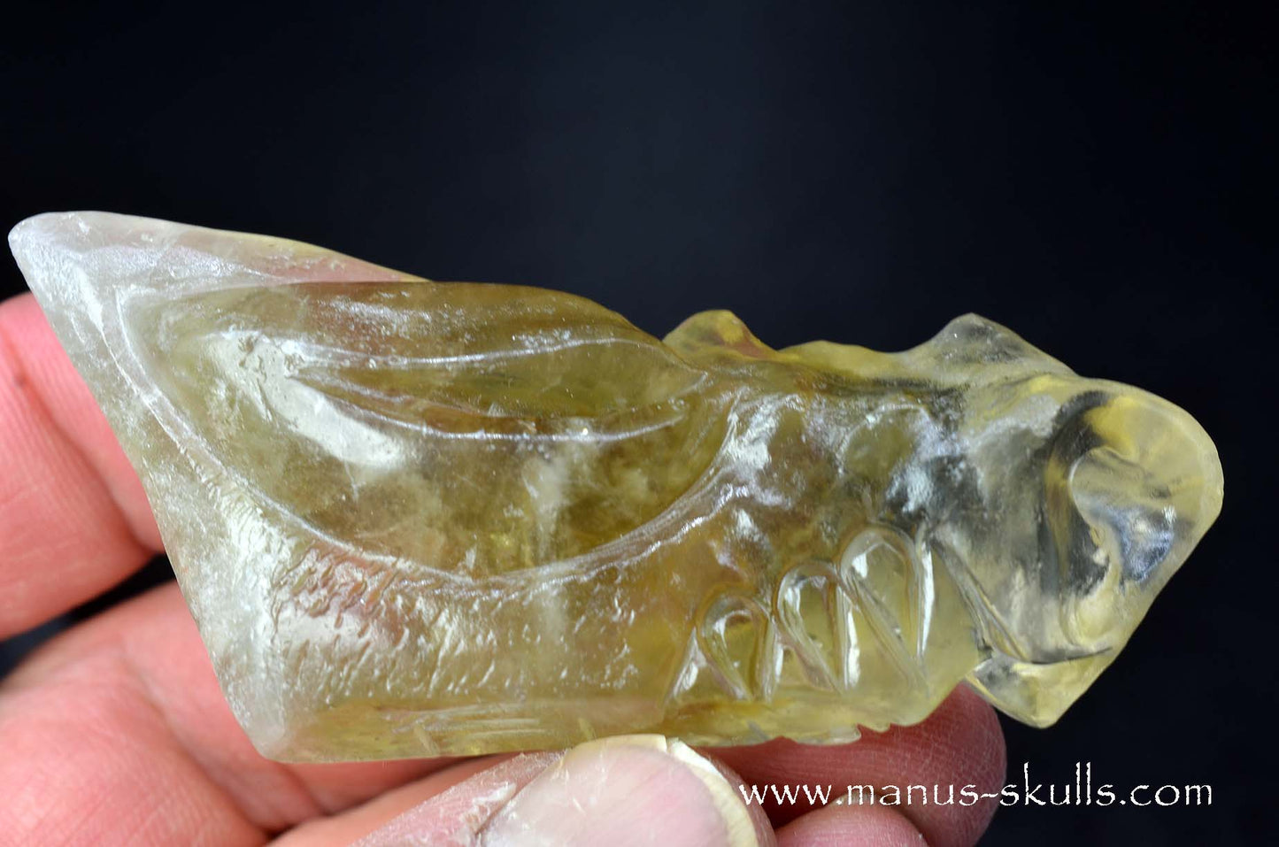 Citrine Dragon