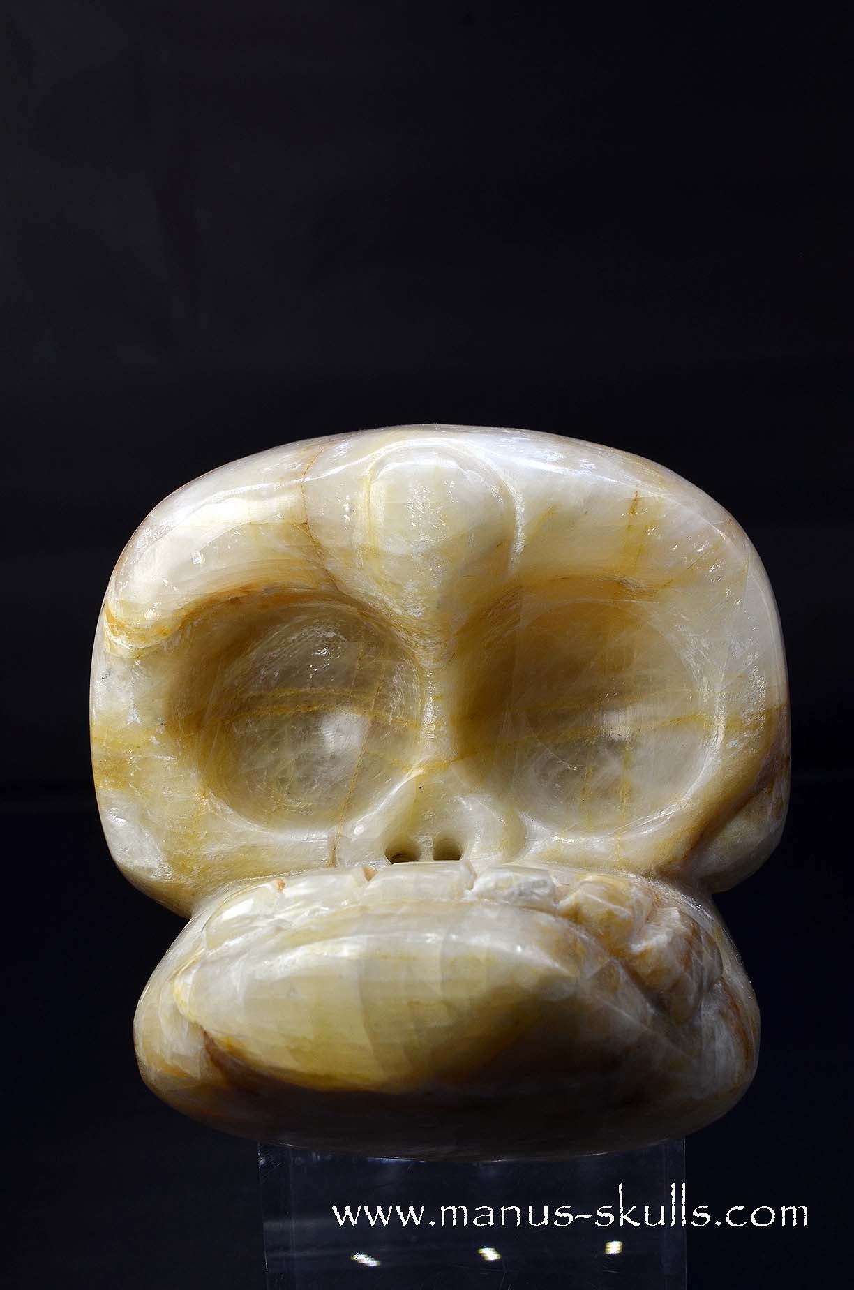 Manus skulls unique Crystal Carvings handmade skulls dragons pendants preseli bluestone tribals spiritual meaning wand Unicorn .. white calcite Evolian 2025