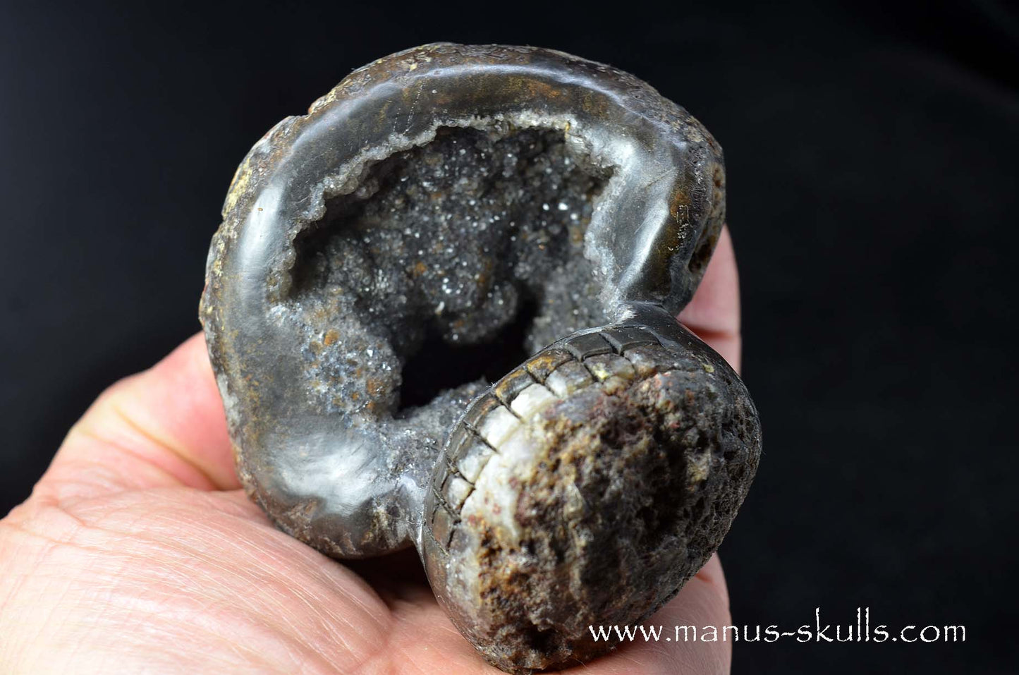 Agate Geode Evolian #09