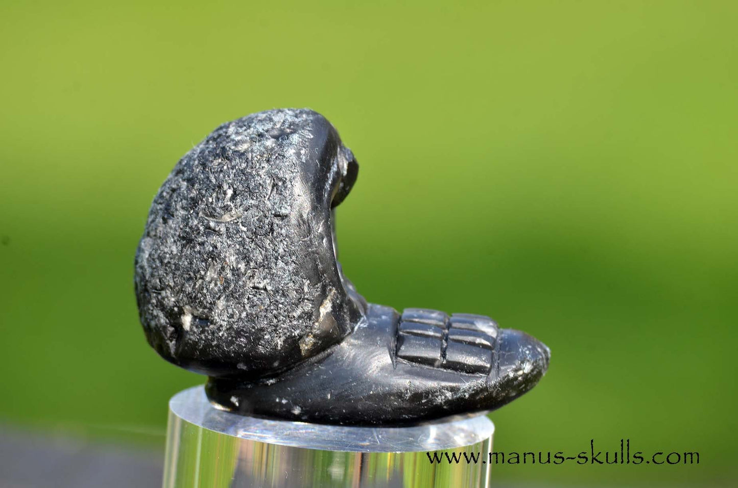Agni Manitite Evolian #09